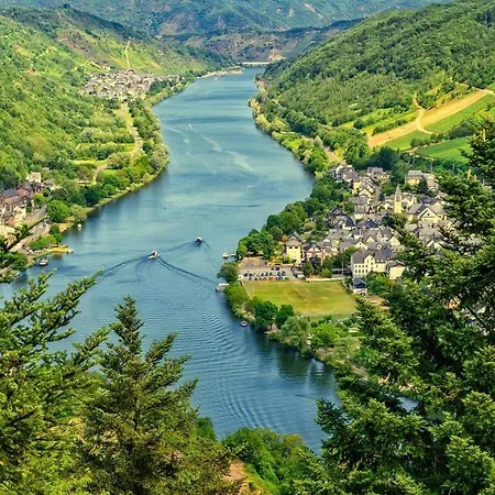 公寓 Haus Moselwiese 阿尔夫