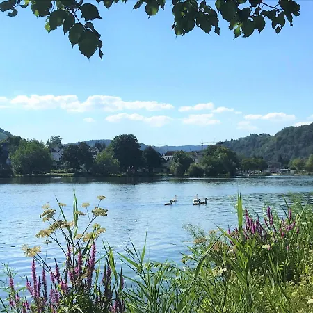 公寓 Haus Moselwiese 阿尔夫