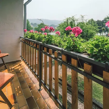 Haus Moselwiese アパート *