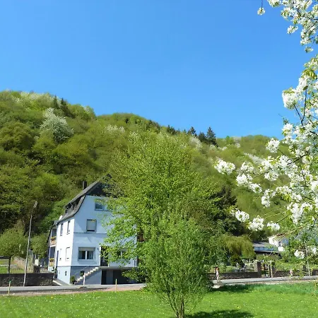 Haus Moselwiese 公寓 *
