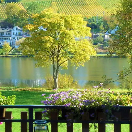 Apartamento Haus Moselwiese