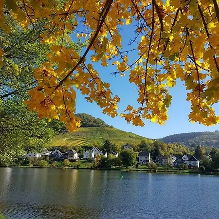 Haus Moselwiese * Alf