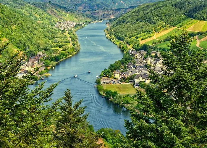 公寓 Haus Moselwiese 阿尔夫