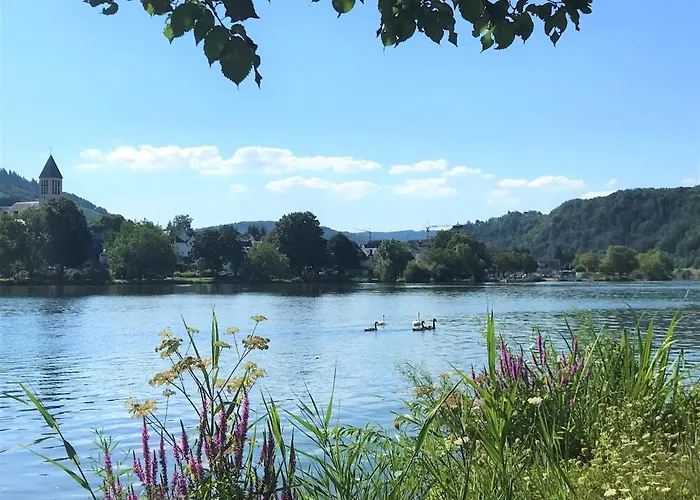 公寓 Haus Moselwiese 阿尔夫