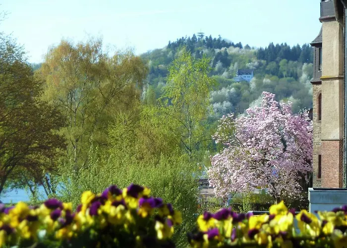 Appartement Haus Moselwiese