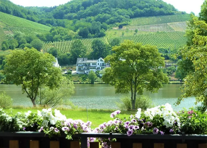 Appartement Haus Moselwiese