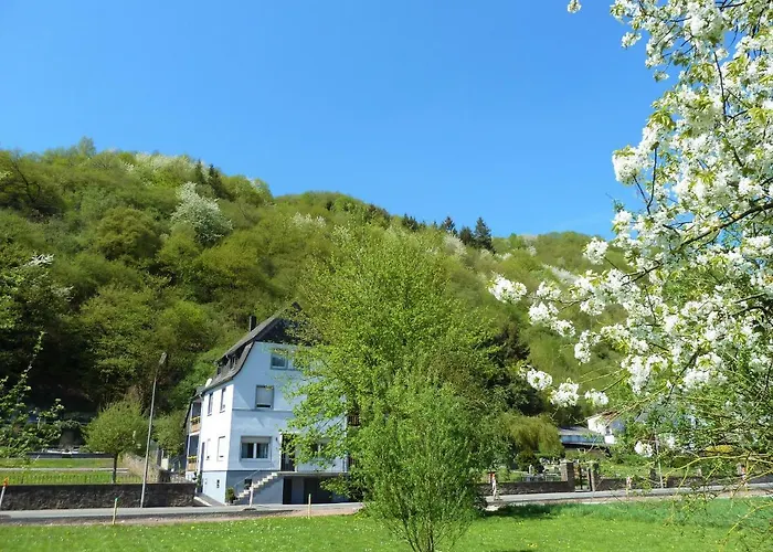 Haus Moselwiese شقة *