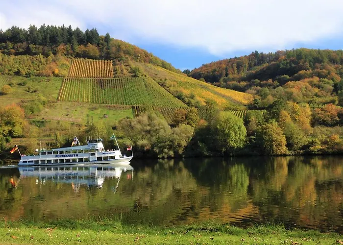 Haus Moselwiese 公寓 *