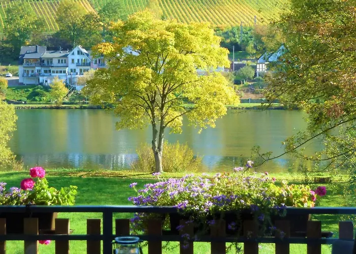 Appartement Haus Moselwiese