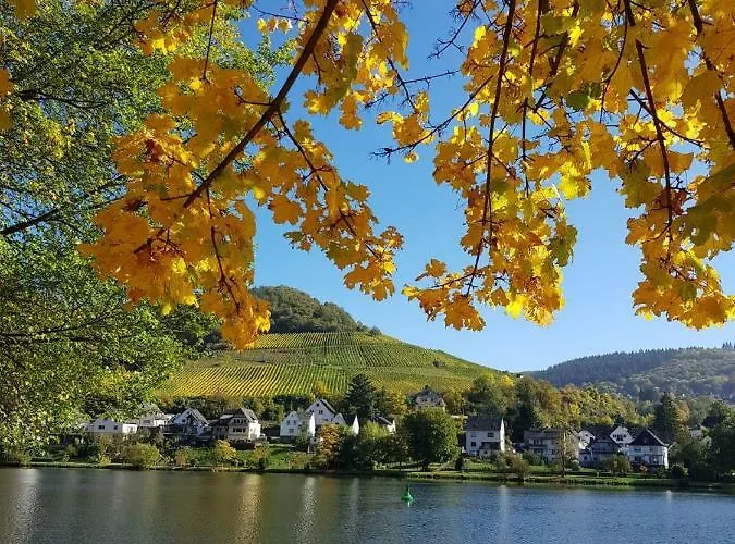 Haus Moselwiese * Alf